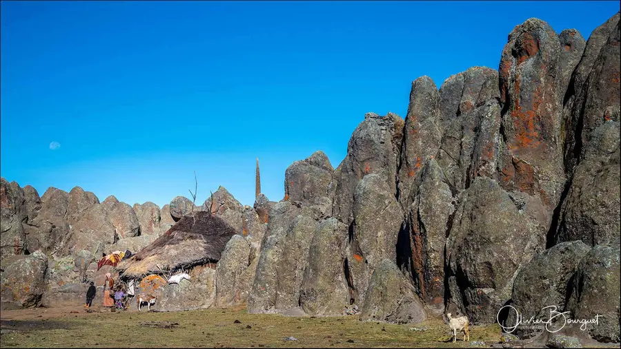 Éthiopie sud, voyage d'auteur décembre 2024 : montagnes du Balé, paysages, photo 259 d’Olivier Bourguet