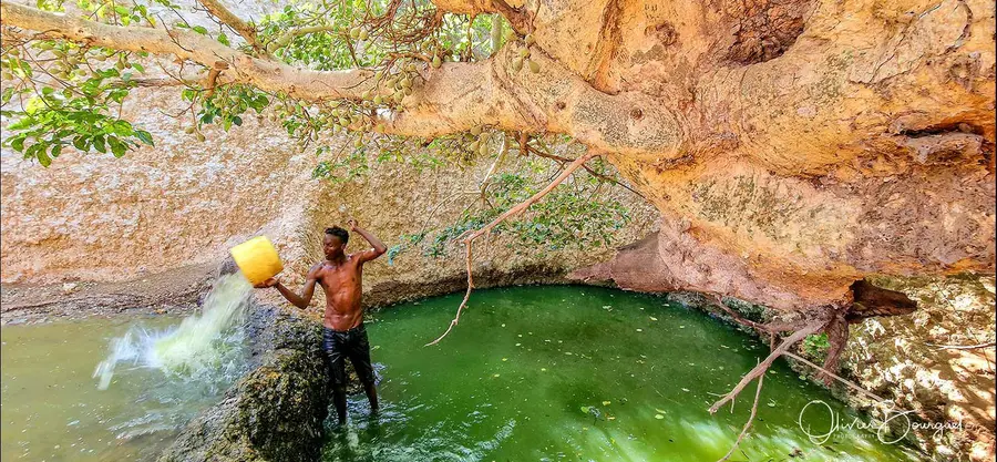 Éthiopie sud, voyage d'auteur décembre 2024 : photos au smartphone, autres, photo 102 d’Olivier Bourguet