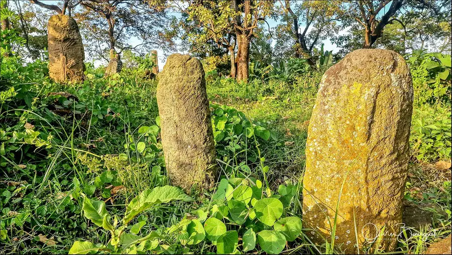 Éthiopie sud, voyage d'auteur décembre 2024 : photos au smartphone, autres, paysages, trekkeurs, photo 109 d’Olivier Bourguet