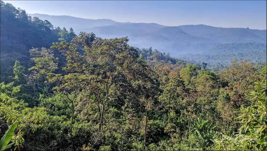 Éthiopie sud, voyage d'auteur décembre 2024 : photos au smartphone, paysages, photo 110 d’Olivier Bourguet