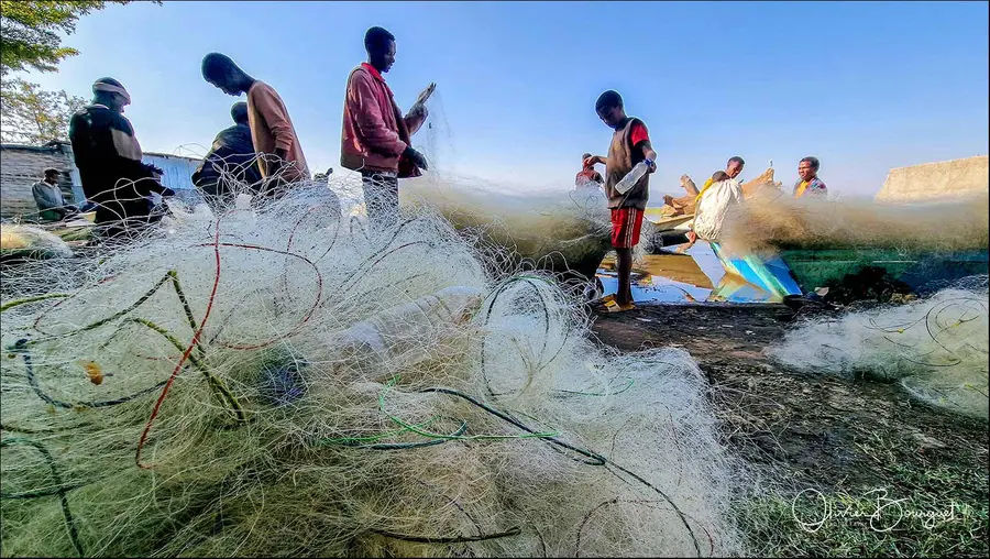 Éthiopie sud, voyage d'auteur décembre 2024 : photos au smartphone, autres, photo 114 d’Olivier Bourguet