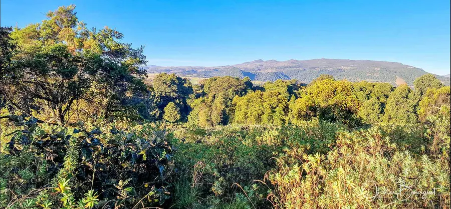 Éthiopie sud, voyage d'auteur décembre 2024 : photos au smartphone, paysages, montagnes du Balé, photo 117 d’Olivier Bourguet