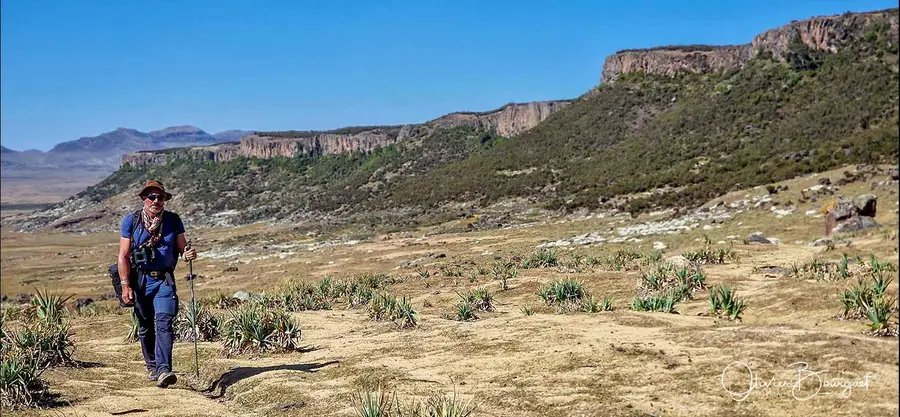 Éthiopie sud, voyage d'auteur décembre 2024 : photos au smartphone, paysages, trekkeurs, montagnes du Balé, photo 123 d’Olivier Bourguet