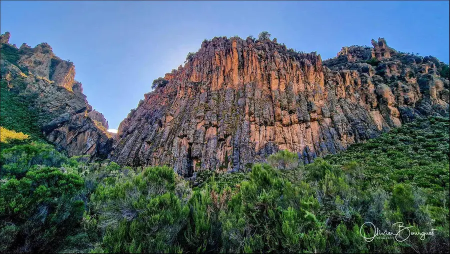 Éthiopie sud, voyage d'auteur décembre 2024 : photos au smartphone, paysages, montagnes du Balé, photo 125 d’Olivier Bourguet