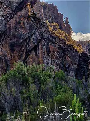 Éthiopie sud, voyage d'auteur décembre 2024 : photos au smartphone, paysages, montagnes du Balé, photo 126 d’Olivier Bourguet