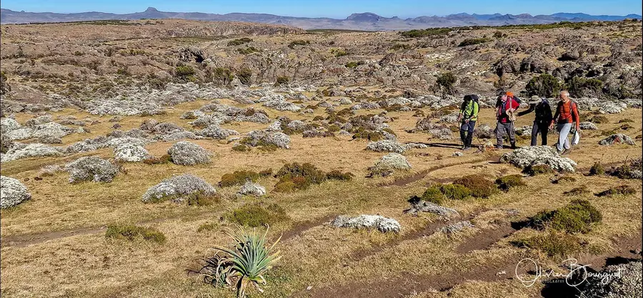 Éthiopie sud, voyage d'auteur décembre 2024 : photos au smartphone, paysages, trekkeurs, montagnes du Balé, photo 133 d’Olivier Bourguet