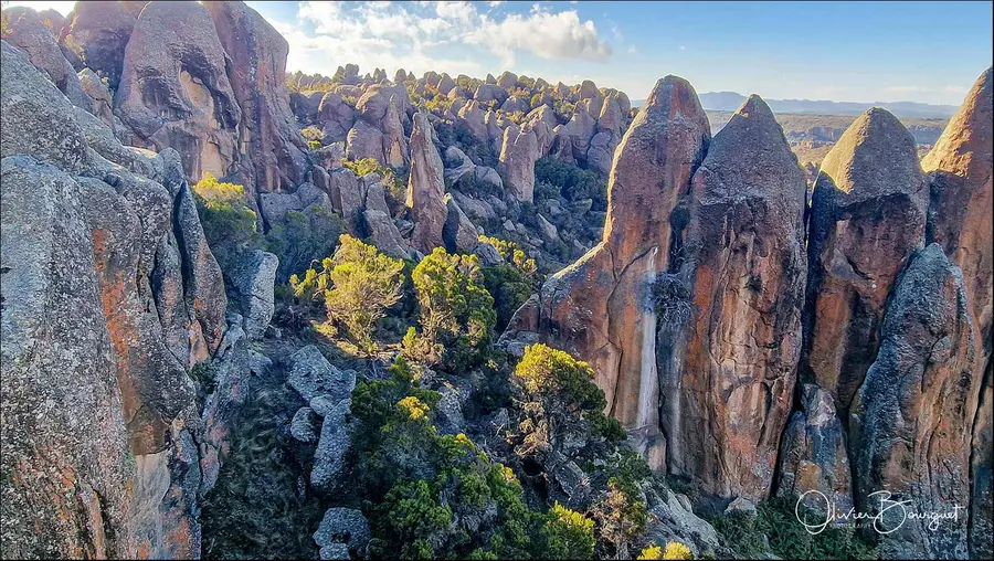 Éthiopie sud, voyage d'auteur décembre 2024 : photos au smartphone, paysages, montagnes du Balé, photo 138 d’Olivier Bourguet