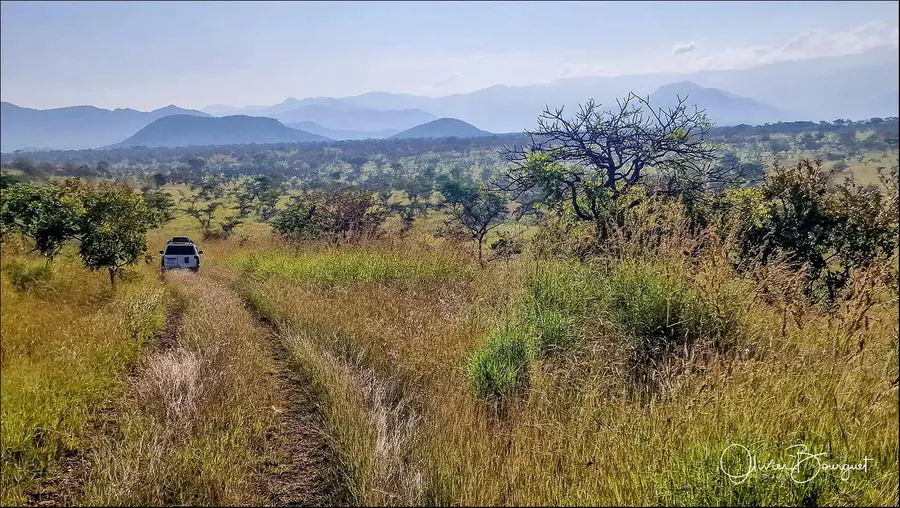 Éthiopie sud, voyage d'auteur décembre 2024 : photos au smartphone, paysages, photo 10 d’Olivier Bourguet