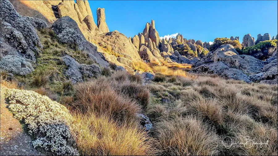 Éthiopie sud, voyage d'auteur décembre 2024 : photos au smartphone, paysages, montagnes du Balé, photo 141 d’Olivier Bourguet