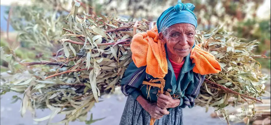 Southern Ethiopia, author's trip, December 2024
