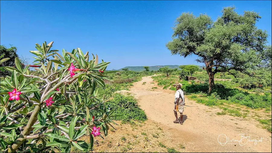 Éthiopie sud, voyage d'auteur décembre 2024 : photos au smartphone, paysages, trekkeurs, Vallée de l'Omo, photo 34 d’Olivier Bourguet
