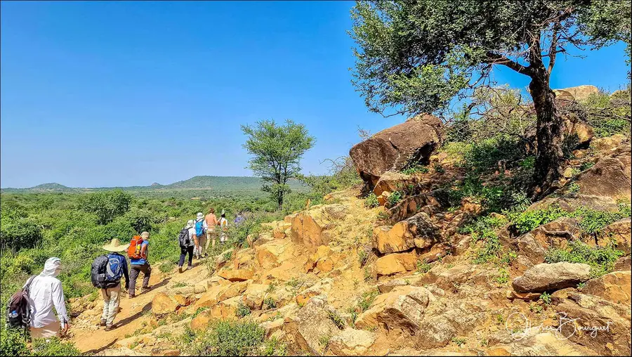 Éthiopie sud, voyage d'auteur décembre 2024 : photos au smartphone, paysages, trekkeurs, Vallée de l'Omo, photo 36 d’Olivier Bourguet