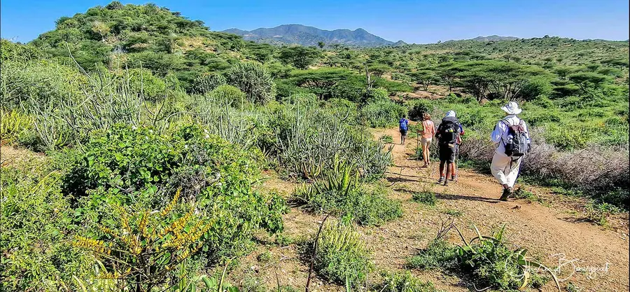 Éthiopie sud, voyage d'auteur décembre 2024 : photos au smartphone, paysages, trekkeurs, Vallée de l'Omo, photo 47 d’Olivier Bourguet