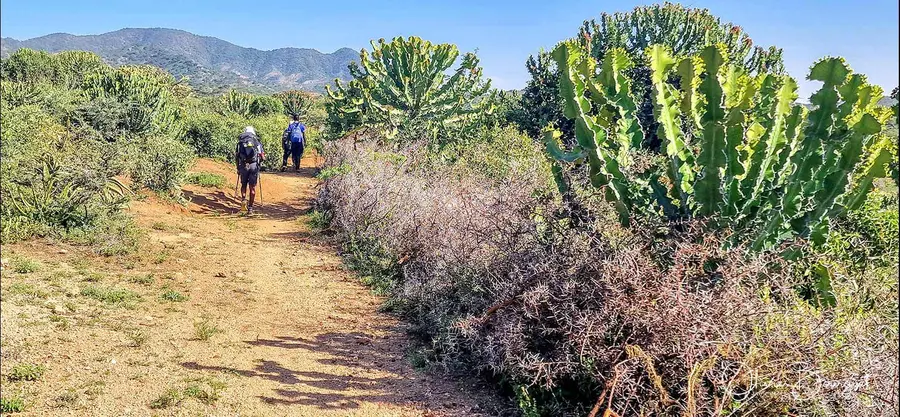 Éthiopie sud, voyage d'auteur décembre 2024 : photos au smartphone, paysages, trekkeurs, Vallée de l'Omo, photo 48 d’Olivier Bourguet