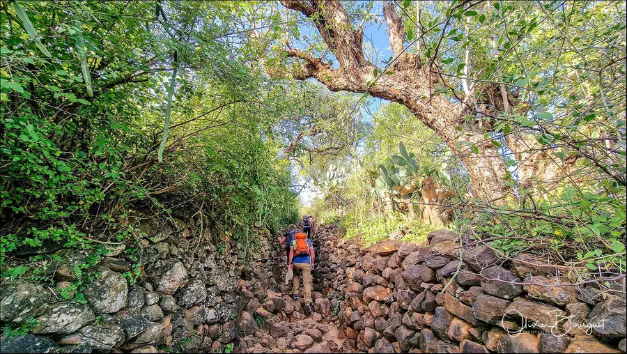Éthiopie sud, voyage d'auteur décembre 2024 : photos au smartphone, paysages, trekkeurs, Konso, photo 55 d’Olivier Bourguet