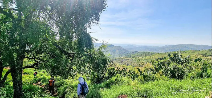 Éthiopie sud, voyage d'auteur décembre 2024 : photos au smartphone, paysages, trekkeurs, Konso, photo 58 d’Olivier Bourguet