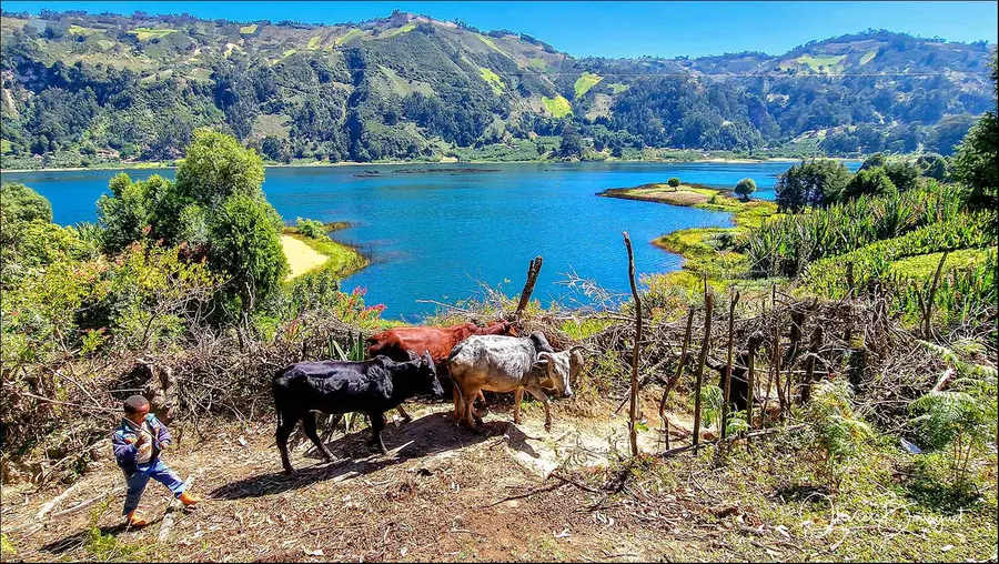 Éthiopie sud, voyage d'auteur décembre 2024 : photos au smartphone, paysages, photo 5 d’Olivier Bourguet