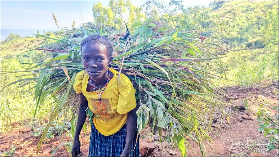 Éthiopie sud, voyage d'auteur décembre 2024 : photos au smartphone, paysages, trekkeurs, Konso, portrait, photo 71 d’Olivier Bourguet