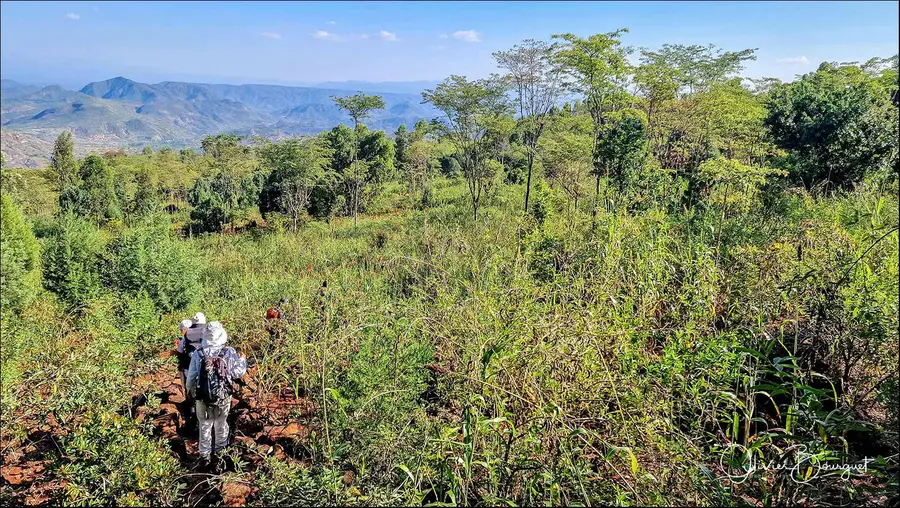 Éthiopie sud, voyage d'auteur décembre 2024 : photos au smartphone, paysages, trekkeurs, Konso, photo 73 d’Olivier Bourguet