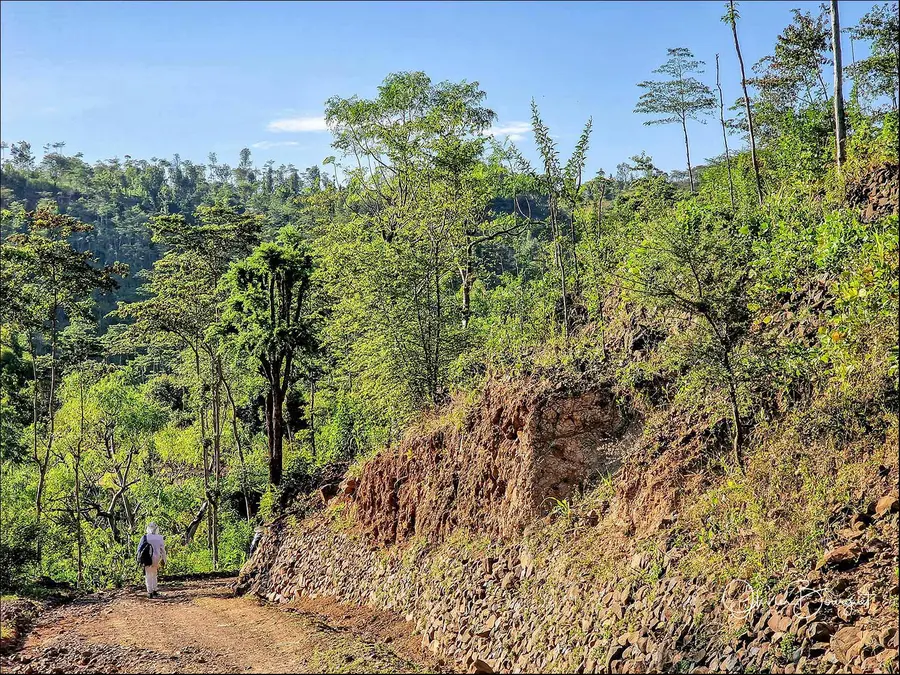 Éthiopie sud, voyage d'auteur décembre 2024 : photos au smartphone, paysages, trekkeurs, Konso, photo 74 d’Olivier Bourguet