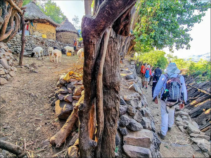 Éthiopie sud, voyage d'auteur décembre 2024 : photos au smartphone, Konso, trekkeurs, photo 76 d’Olivier Bourguet