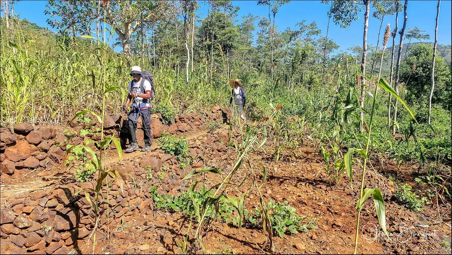 Éthiopie sud, voyage d'auteur décembre 2024 : photos au smartphone, paysages, trekkeurs, Konso, photo 80 d’Olivier Bourguet
