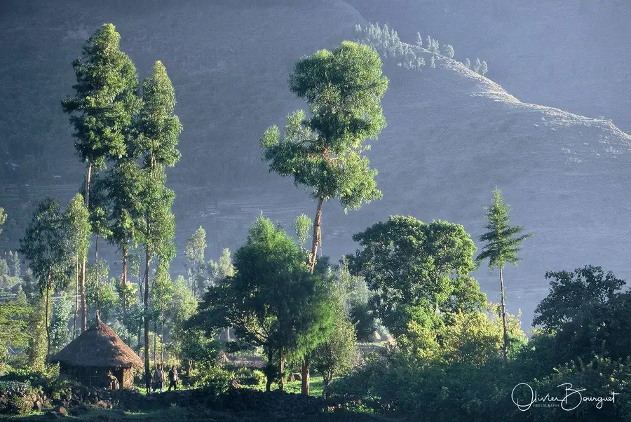 Vél'Horizons Afrique : activités quotidiennes, atmosphere, Ethiopie, photo 13 d’Olivier Bourguet