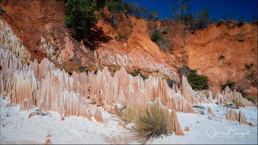Madagascar nord & est : nord, nature, paysages, photo 83 d’Olivier Bourguet