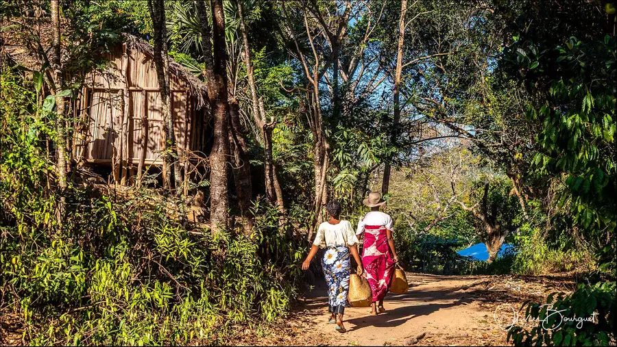Madagascar nord & est : nord, activités, forêts, photo 106 d’Olivier Bourguet