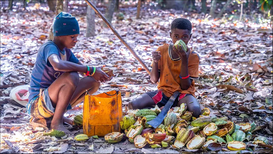 Madagascar nord & est : nord, activités, forêts, enfants, photo 108 d’Olivier Bourguet