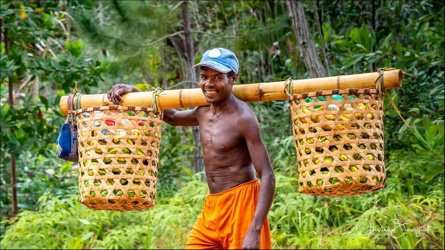 Madagascar nord & est : est, activités, forêts, photo 32 d’Olivier Bourguet