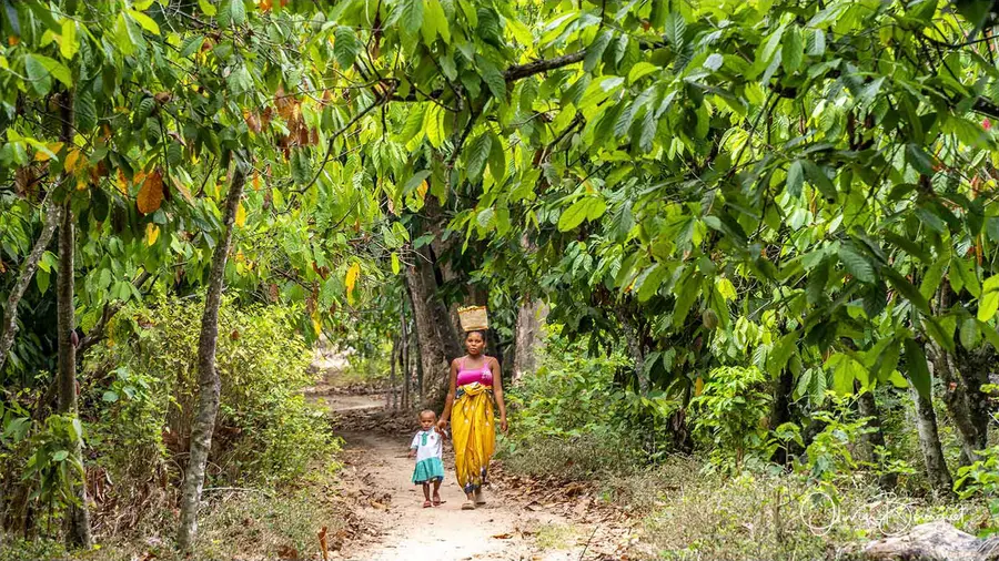 Madagascar nord & est : nord, activités, photo 207 d’Olivier Bourguet