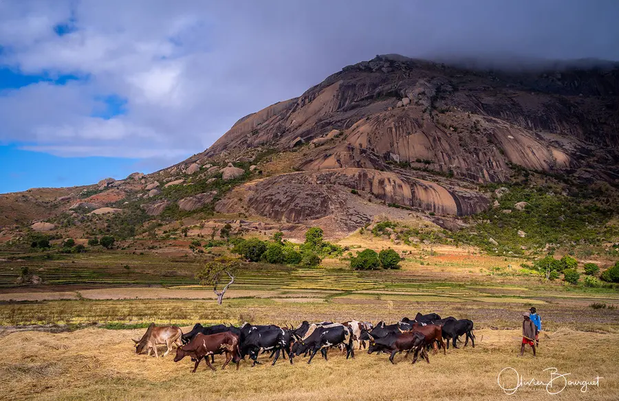 Best of : madagascar, paysages, activités, photo 130 d’Olivier Bourguet