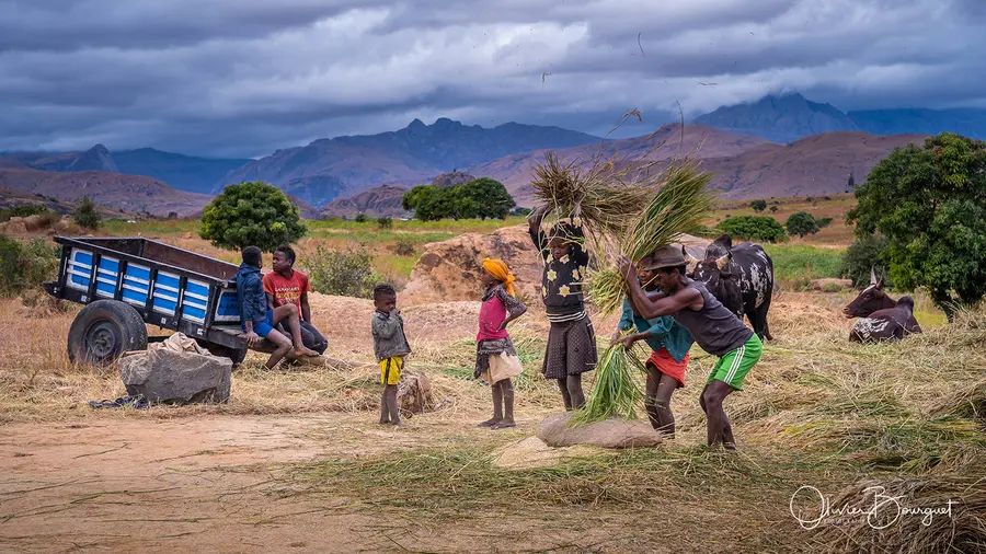 Best of : madagascar, paysages, activités, portraits, photo 133 d’Olivier Bourguet
