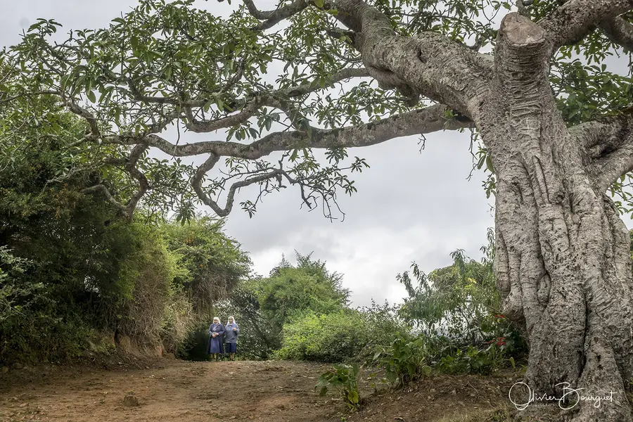 Madagascar sud & ouest : sud, portraits, religion, photo 29 d’Olivier Bourguet