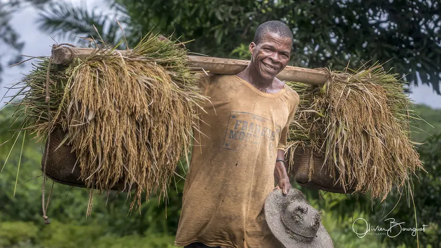 Madagascar sud & ouest : est, portraits, activités, riz, photo 36 d’Olivier Bourguet