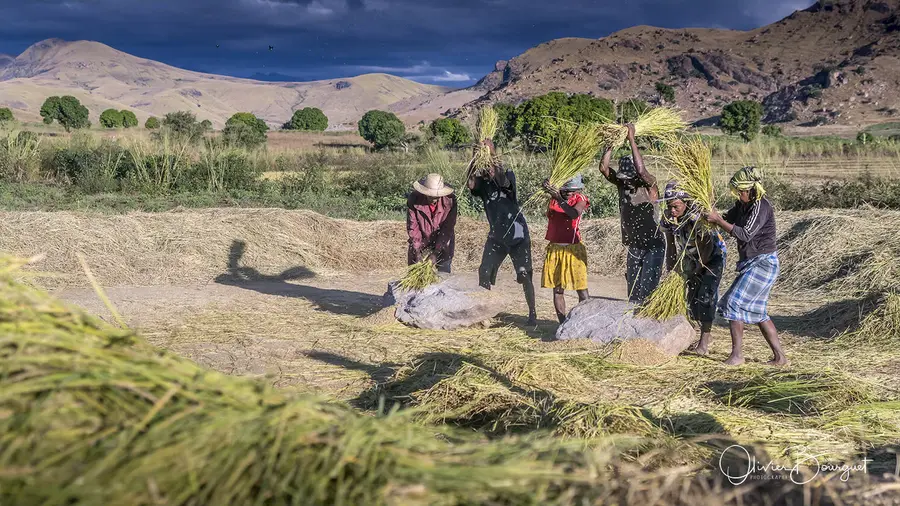 Best of : madagascar, paysages, activités, portraits, photo 145 d’Olivier Bourguet