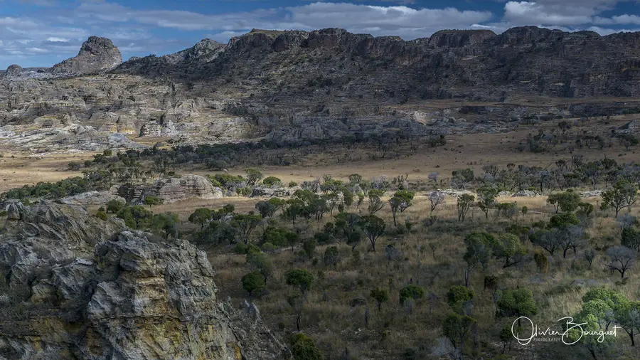Madagascar sud & ouest : sud, nature, paysages, montagnes, Isalo, photo 46 d’Olivier Bourguet