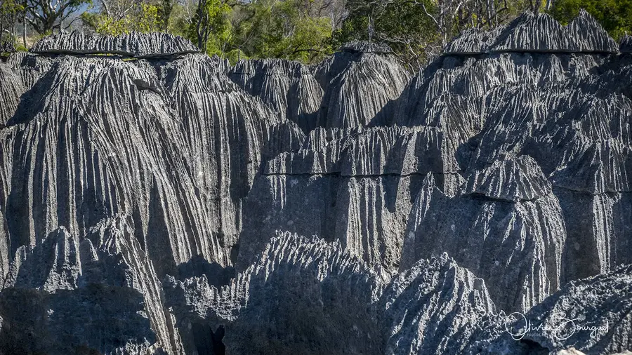 Madagascar sud & ouest : ouest, nature, paysages, Tsingy Bemaraha, photo 72 d’Olivier Bourguet