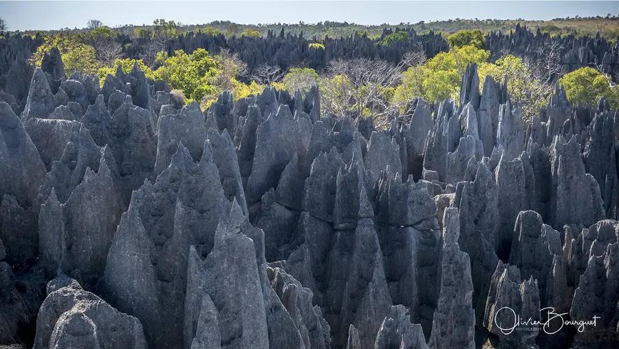 Best of : madagascar, paysages, nature, photo 155 d’Olivier Bourguet