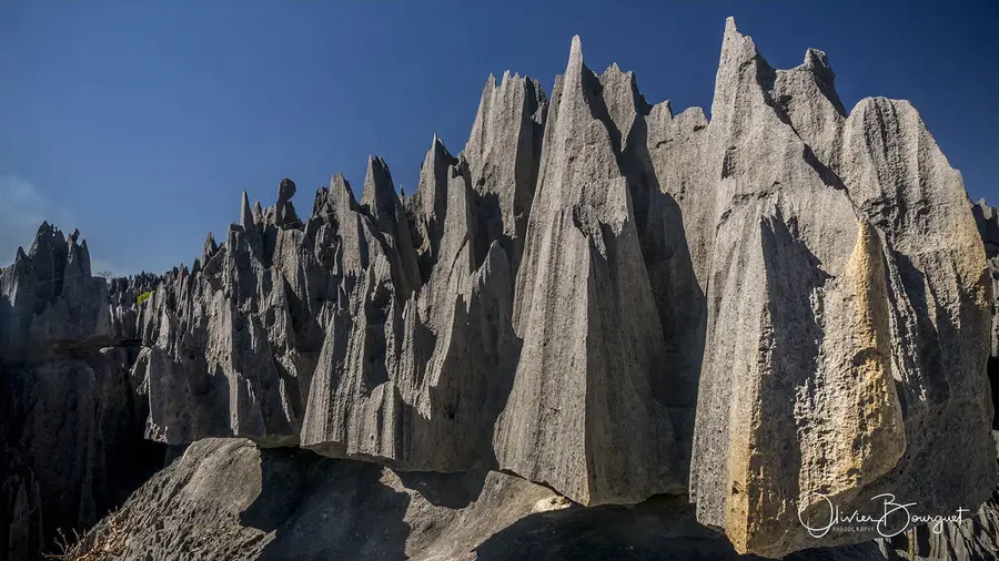 Madagascar sud & ouest : ouest, nature, paysages, Tsingy Bemaraha, photo 75 d’Olivier Bourguet