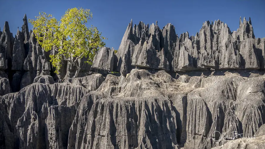 Madagascar sud & ouest : ouest, nature, paysages, Tsingy Bemaraha, photo 78 d’Olivier Bourguet