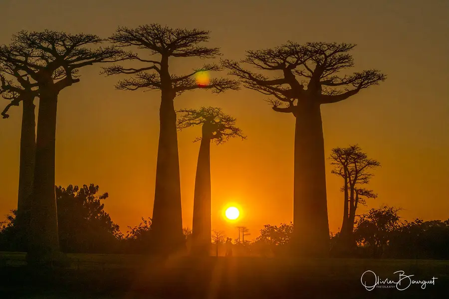 Best of : madagascar, paysages, lumières, nature, photo 156 d’Olivier Bourguet