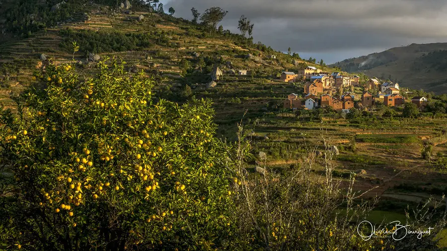 Madagascar sud & ouest : sud, nature, paysages, riz, villages, photo 23 d’Olivier Bourguet