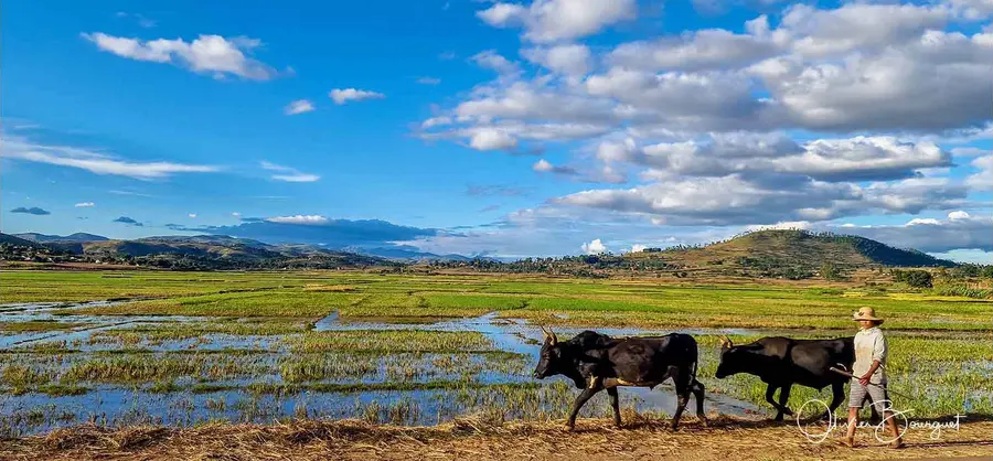 Madagascar sud 2025, au smartphone seulement : villes, activités, photo 12 d’Olivier Bourguet