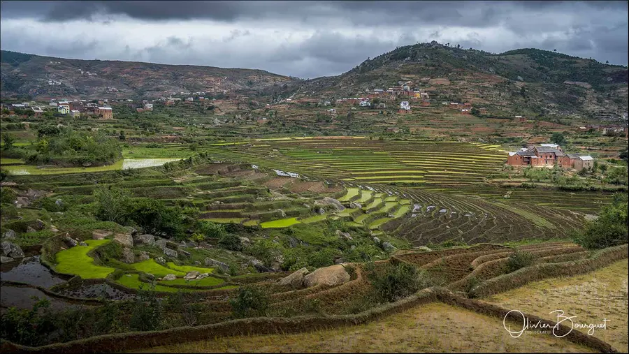 Madagascar sud & ouest : sud, riz, paysages, sud, photo 106 d’Olivier Bourguet