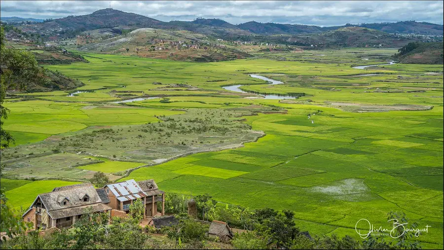 Madagascar sud & ouest : paysages, riz, sud, photo 129 d’Olivier Bourguet