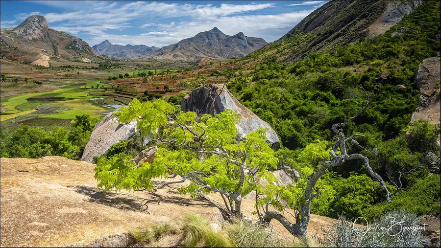 Madagascar sud & ouest : sud, nature, paysages, photo 148 d’Olivier Bourguet
