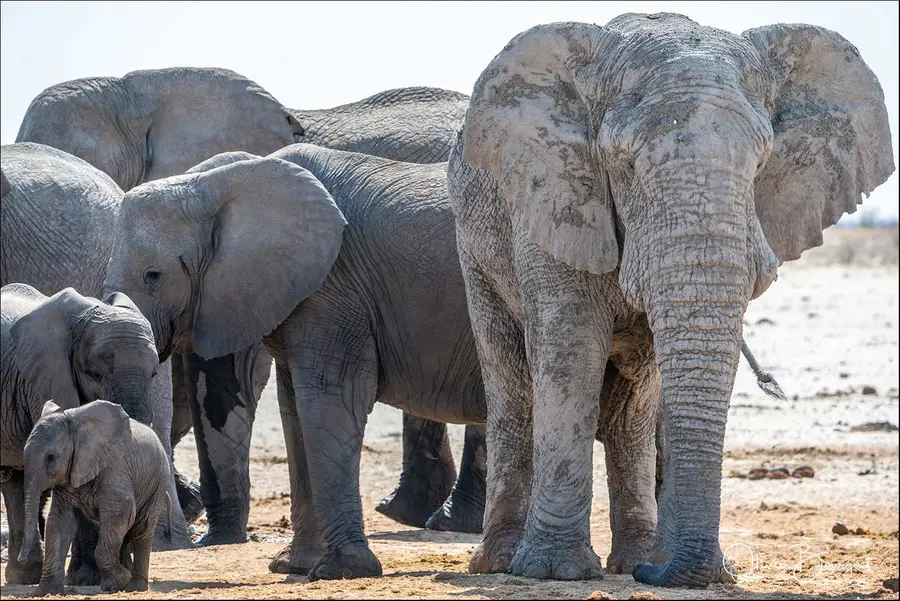 Namibie, 2024 · le voyage chez Wan Voyages