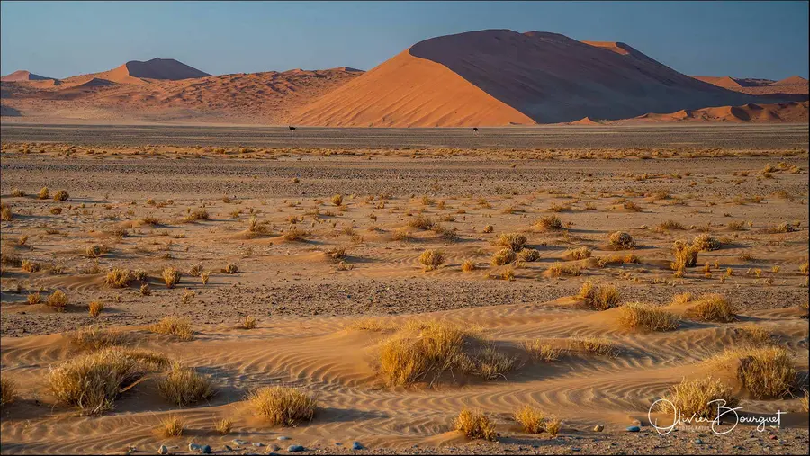 Namibie : desert, paysages, dunes, photo 80 d’Olivier Bourguet